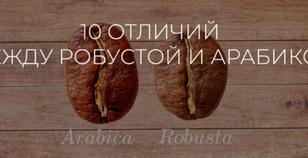 10 отличий между робустой и арабикой